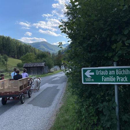 Buechlhof - App. Himmelalm Lilienfeld Exterior foto